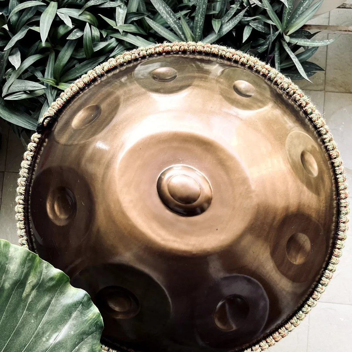 Handpan en acier vu de dessus, posé au milieu de plantes vertes