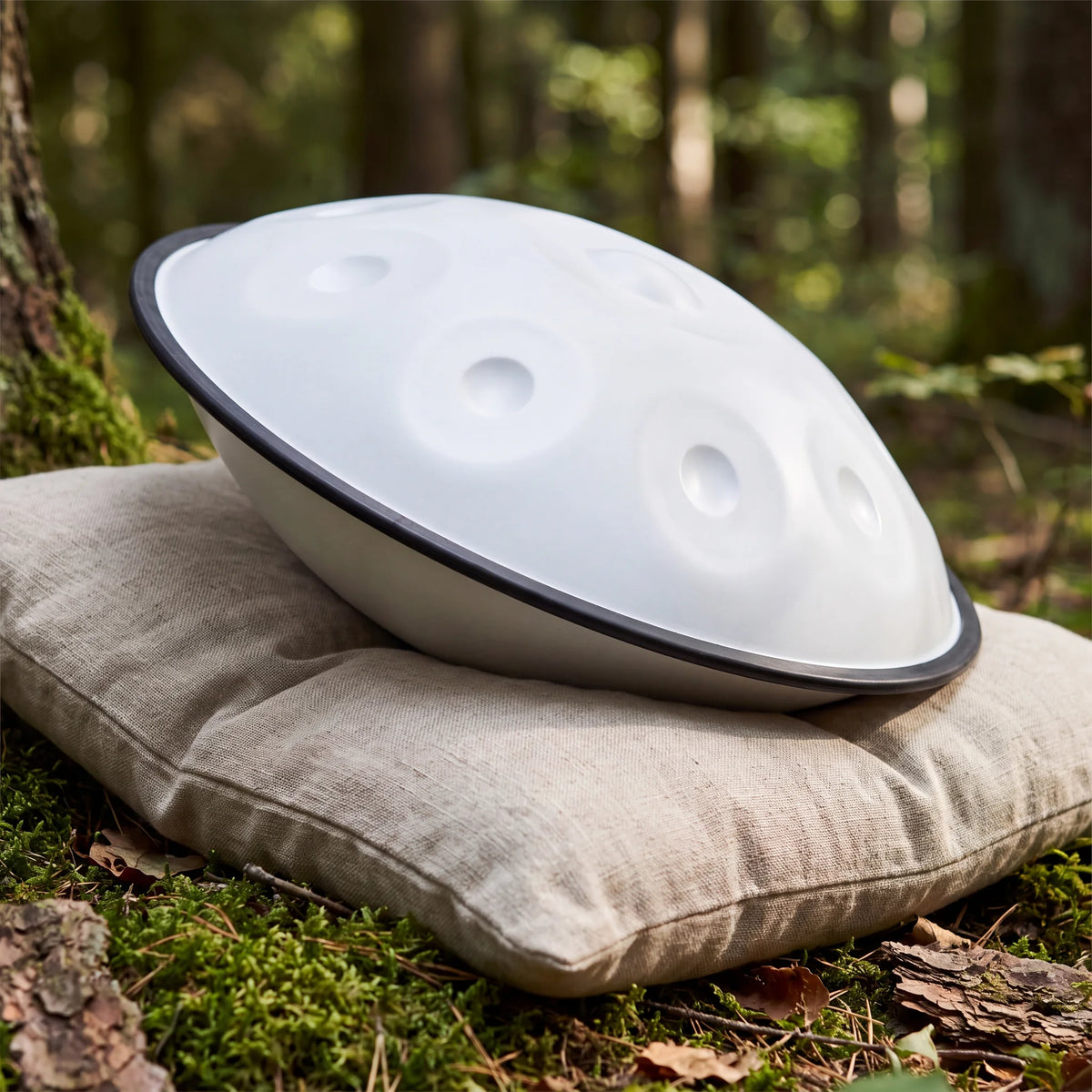 Handpan 10 notes d minor opale kovapan