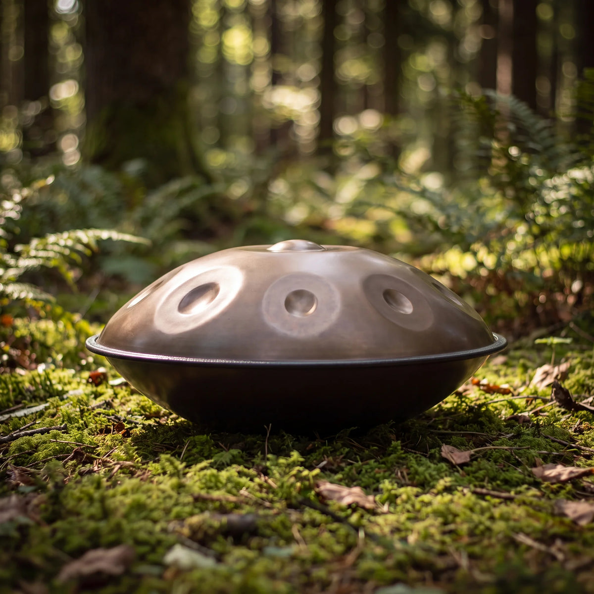 Handpan F Low Pygmy Kovapan acier – posé sur mousse en forêt lumière naturelle